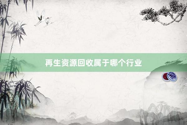 再生资源回收属于哪个行业