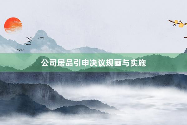 公司居品引申决议规画与实施